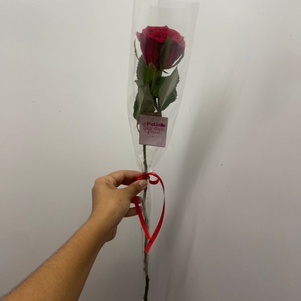 Rosa unitária vermelha na embalagem