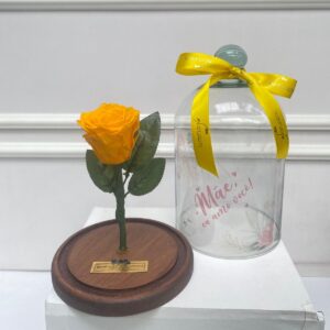 Rosa Encantada Amarela