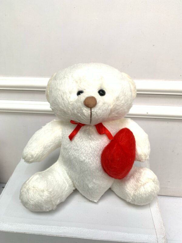 Urso de Pelúcia – 25 cm