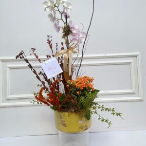 Jardim Floral – Composição Variada