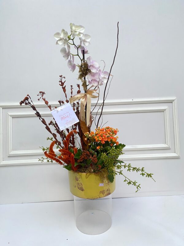 Jardim Floral – Composição Variada