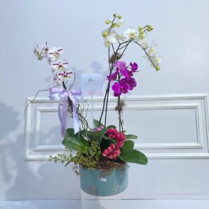 Jardim Floral – Composição Variada