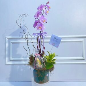 Jardim Floral – Composição Variada