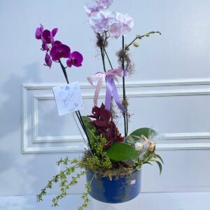 Jardim Floral – Composição Variada