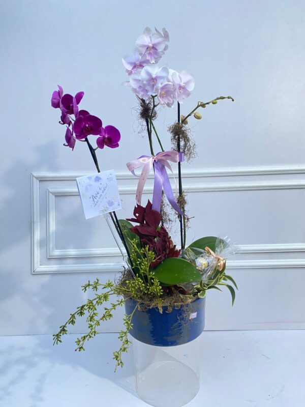 Jardim Floral – Composição Variada